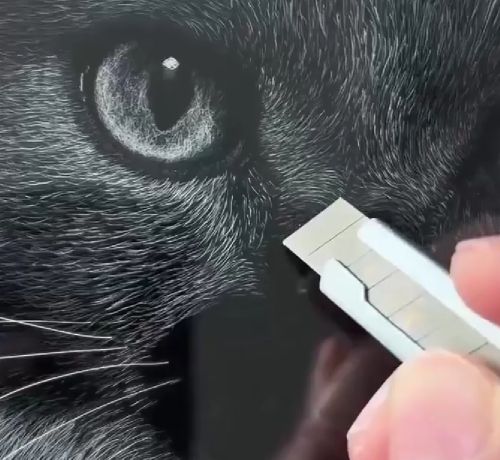 Китайский художник Дилан Дай создает гиперреалистичные 3D портреты животных обычным канцелярским ножом