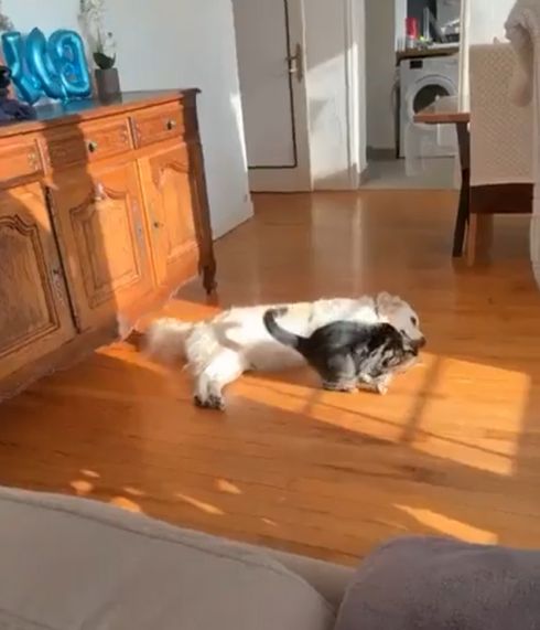 Пока кожаный на своей работе⁠⁠