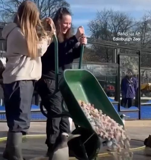 Красивые камни⁠⁠