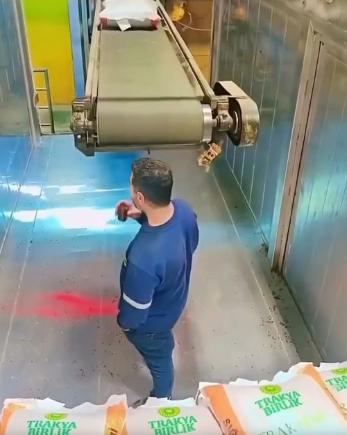 А говорят, работа грузчика тяжелая...