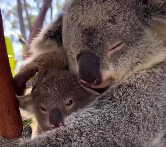 Спать пора⁠⁠