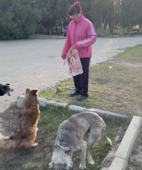 Возле школы