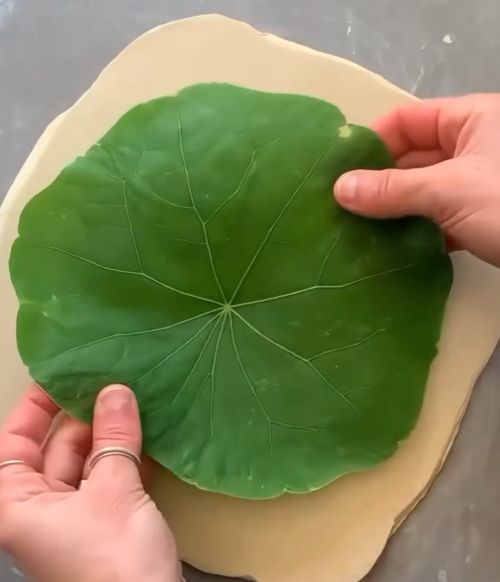 Посуда с узорами из настоящей природы