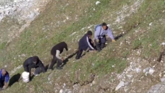 Коля стальные яйца