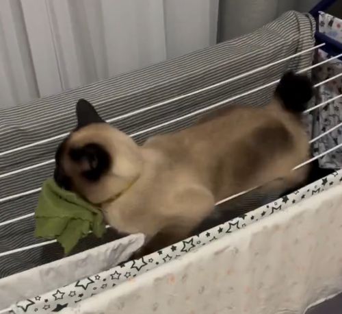 Машу ж вать! Наташа, помогите!