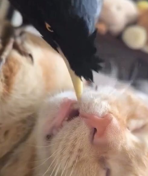 Так-так, что тут у нас?