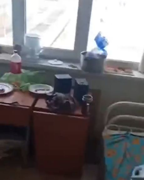 Кто здесь живёт?