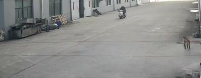 Чужие тут не ходят!⁠⁠