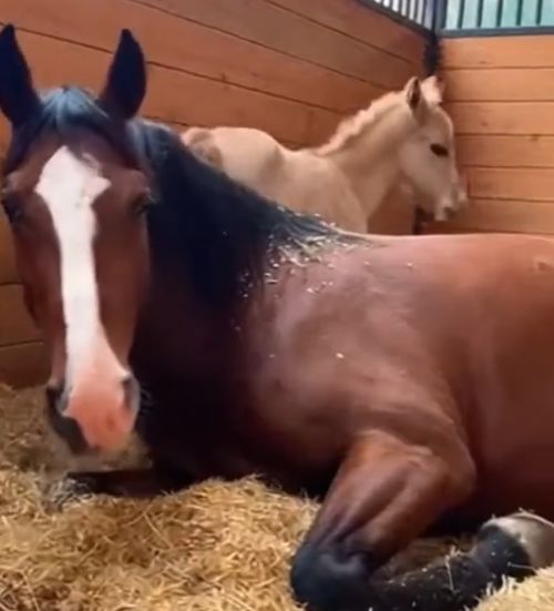 Милый малыш⁠⁠