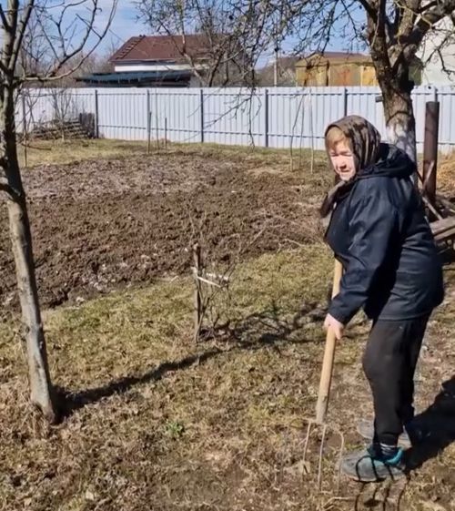 Сельская жизнь она такая