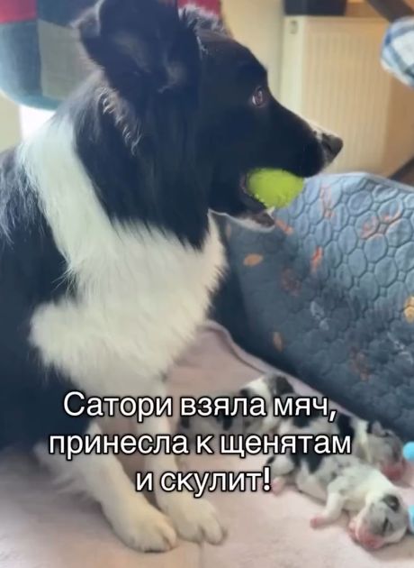 Когда дети не оправдывают надежды