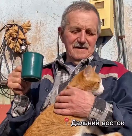 Добрая история