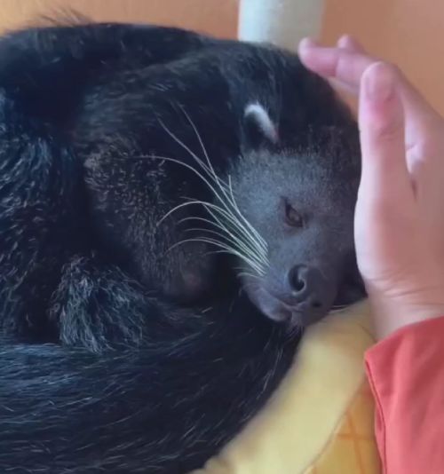 Спокойной ночи...