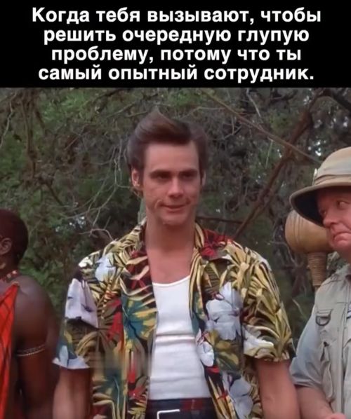 С дороги, неучи!