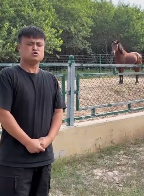 Полиглот⁠⁠