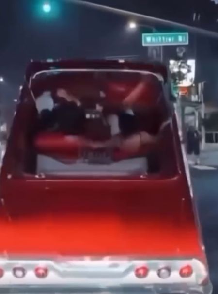 Кошкины повадки⁠⁠