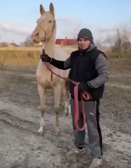 На тебе пендаля