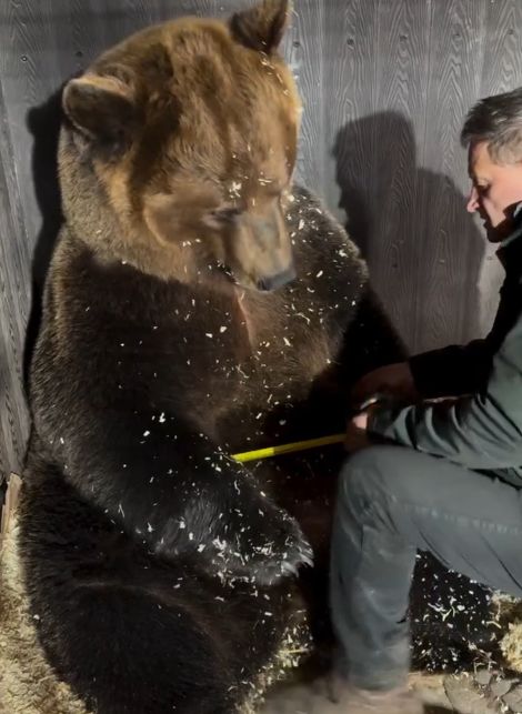 Измерение талии⁠⁠