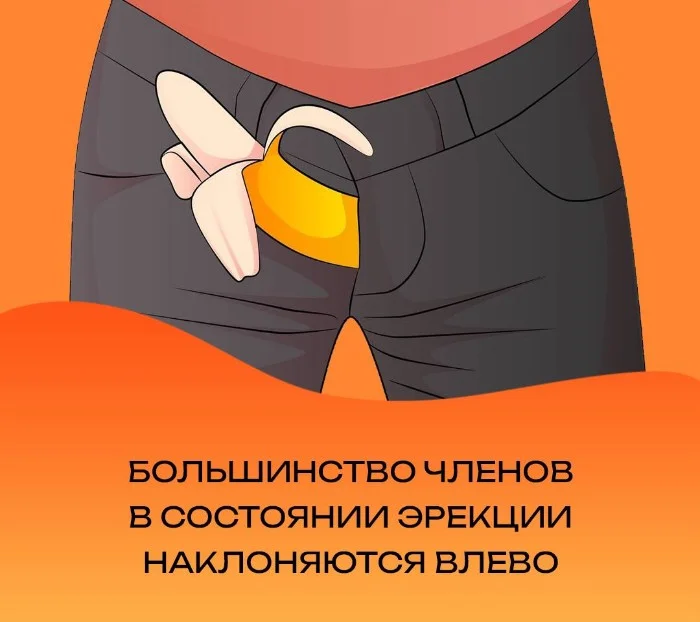 Факты для взрослых