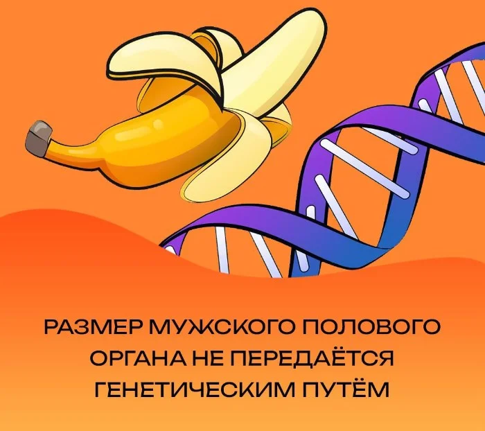 Факты для взрослых 23.03.2026