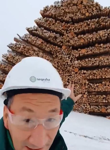 Как делают бумагу?