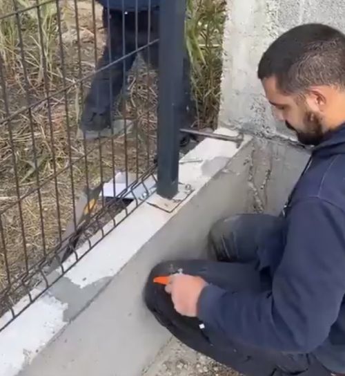 Почему бы и нет