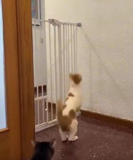 Преодоление препятствий до 30 и после 30⁠⁠