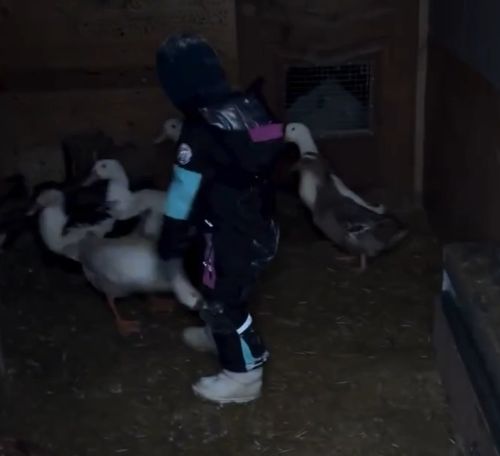 Отомстил за всех нас