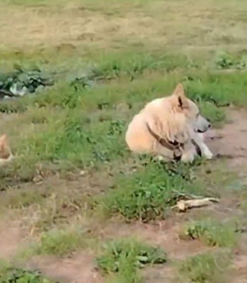 Группой лиц