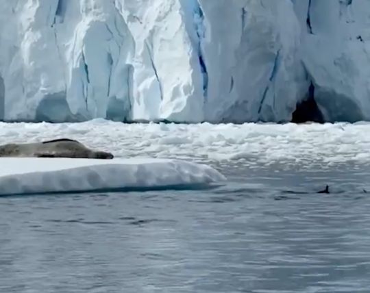 Мужик, ты как?