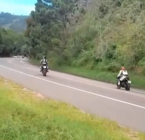 Печальное завершение прогулки...⁠⁠