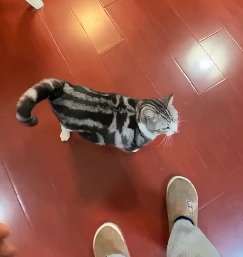 Сладкая булочка⁠⁠