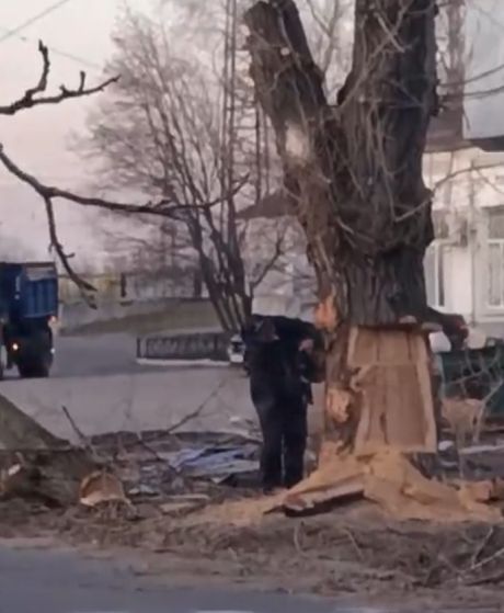 Что могло пойти не так...