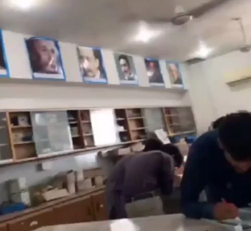 Гордость школы