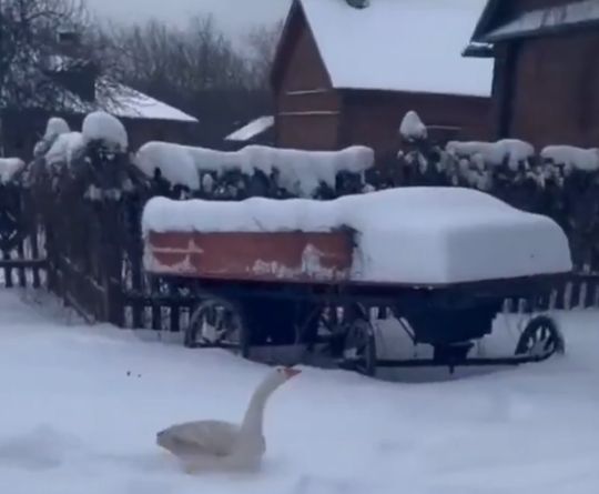 Сколько радости...⁠⁠