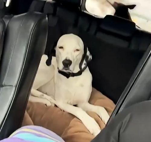 Я этого идиота не знаю