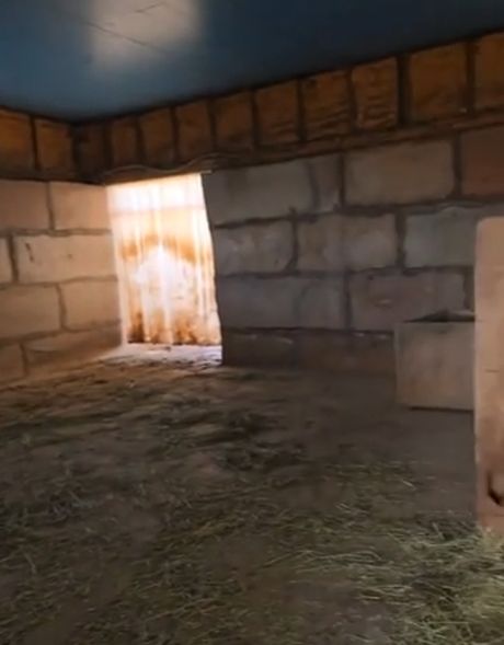 Малыш Джерко