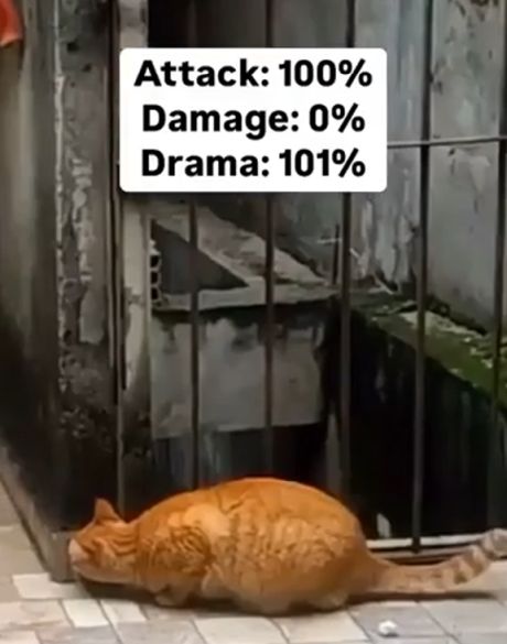 Внимание: данное видео содержит жестокую сцену!⁠⁠