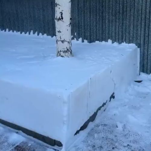 Это как же она его заеб@ла!