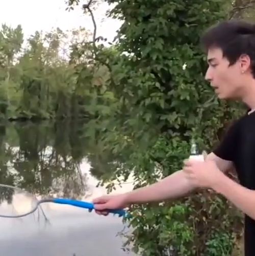 Пузырь дыма на воде⁠⁠