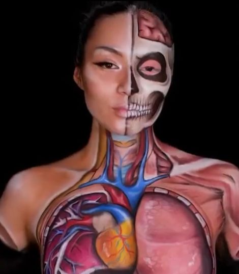 Весёлая анатомия