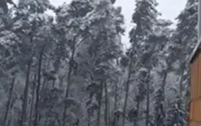 Зимнее утро в Балашихе