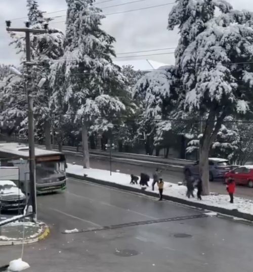 Все мы в душе дети