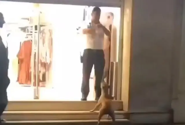 Охранник надувает воздушный шарик для бездомной собаки, и её радость достойна восхищения⁠⁠