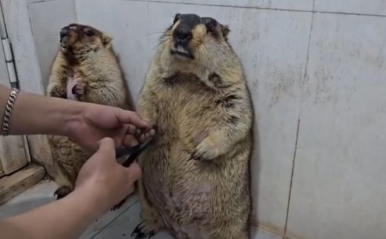 Ожидание смерти реально хуже самой смерти