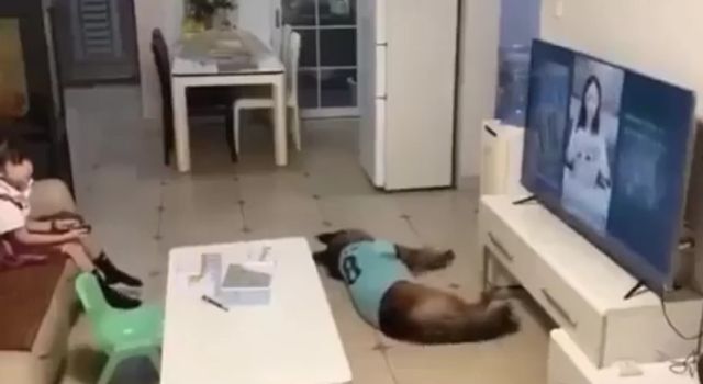 Вовремя предупредил⁠⁠