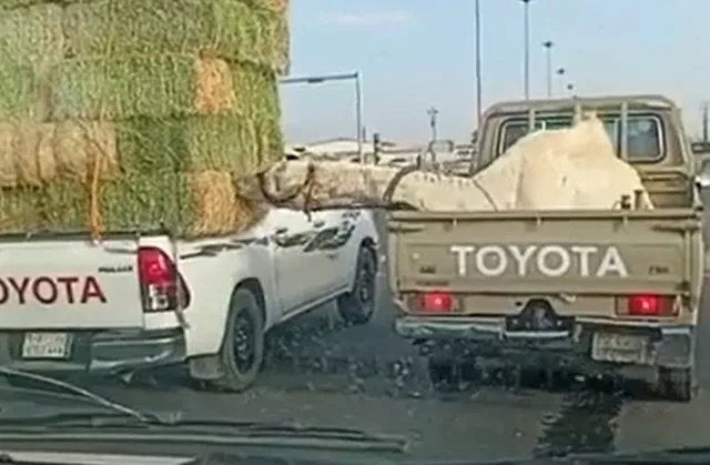 Дозаправка⁠⁠