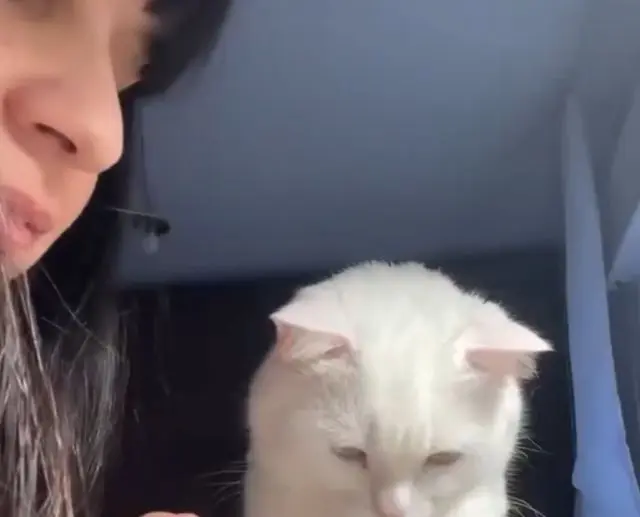 Девочки за вышиванием⁠⁠