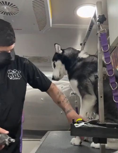 – Извините, нервы...⁠⁠