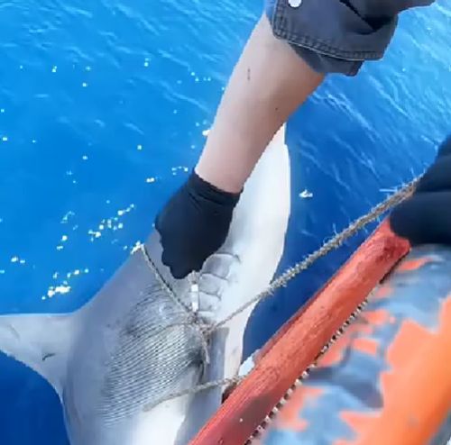 Делай добро и бросай его в воду